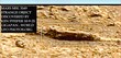 Z33-5  MARS MSL 3549 STRANGE OBJECT DISCOVERED BY KEN PFEIFER 10-9-25 GIGAPAN-14.jpg