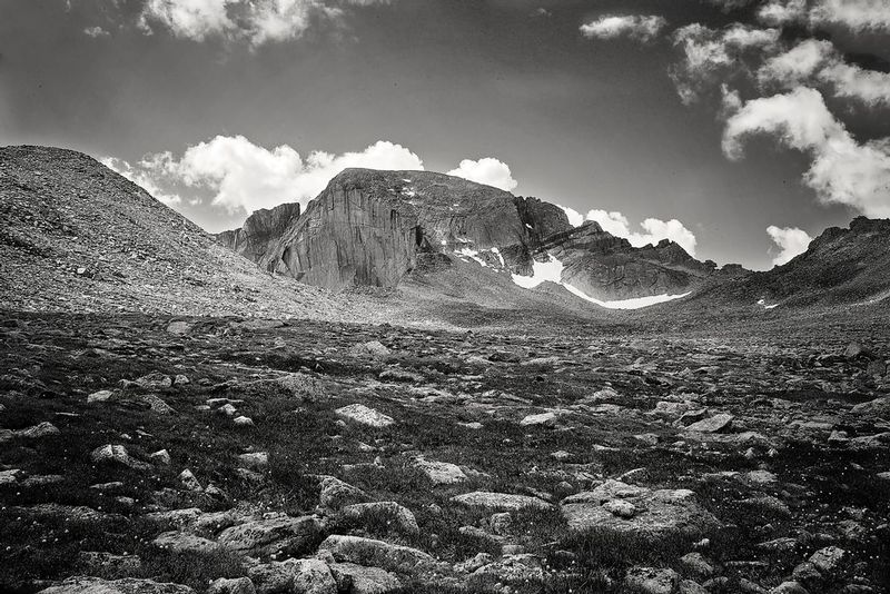 IMG_1818bw1.jpg